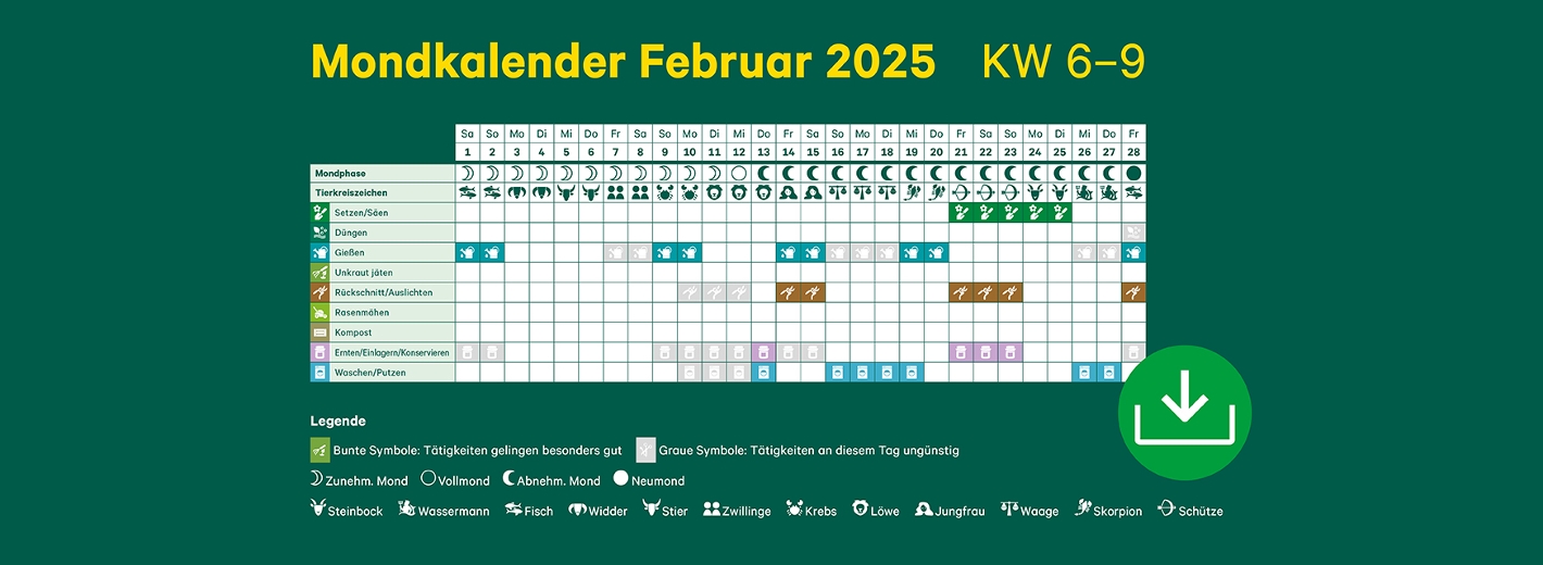 Mondkalender Februar 2025