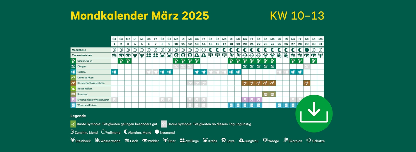 Mondkalender März 2025