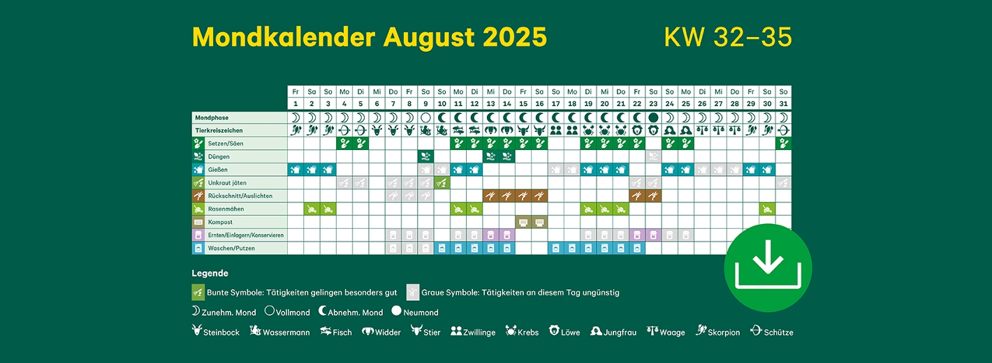 Mondkalender August 2025