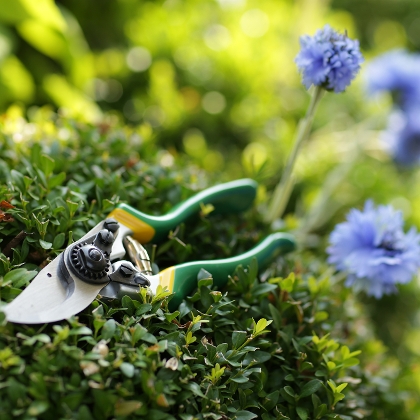 Gartenschere