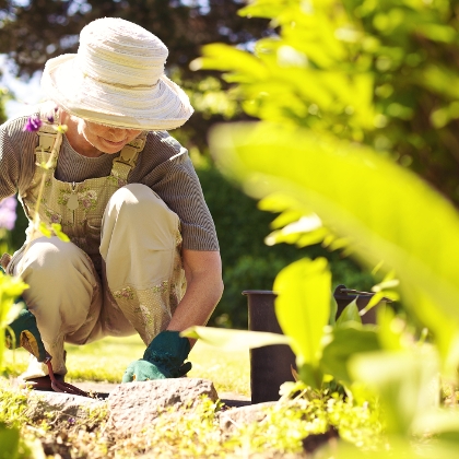 Oma im Bauerngarten