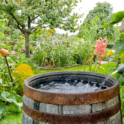 Regenwassertonne aus Holz mit Wasser