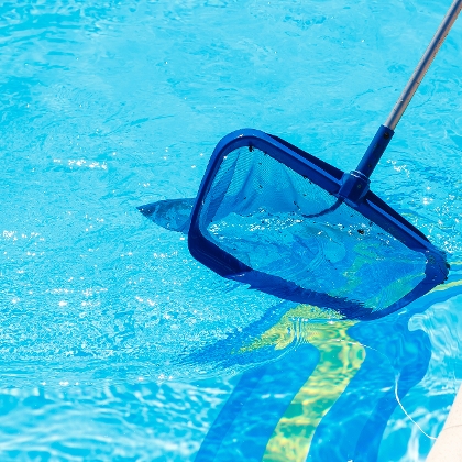 Kescher in Pool