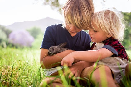 Kinder mit Kaninchen im Gras