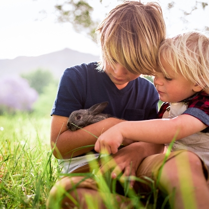 Kinder mit Kaninchen im Gras